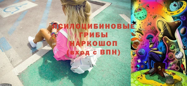 бошки Богданович