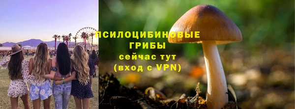 бошки Богданович