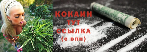 ПСИЛОЦИБИНОВЫЕ ГРИБЫ Богородицк