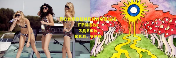 ПСИЛОЦИБИНОВЫЕ ГРИБЫ Богородицк